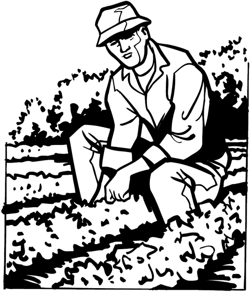 Farmer checking his crops vinyl sticker. Customize on line.      Agriculture Crops Farming Farmer Picking 003-0125  